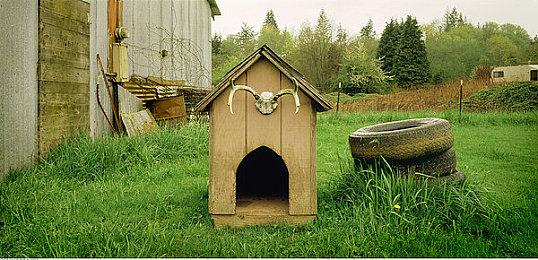 《泰坦之旅2》新实机演示 深入了解游戏核心系统